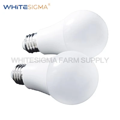 LED-lampa